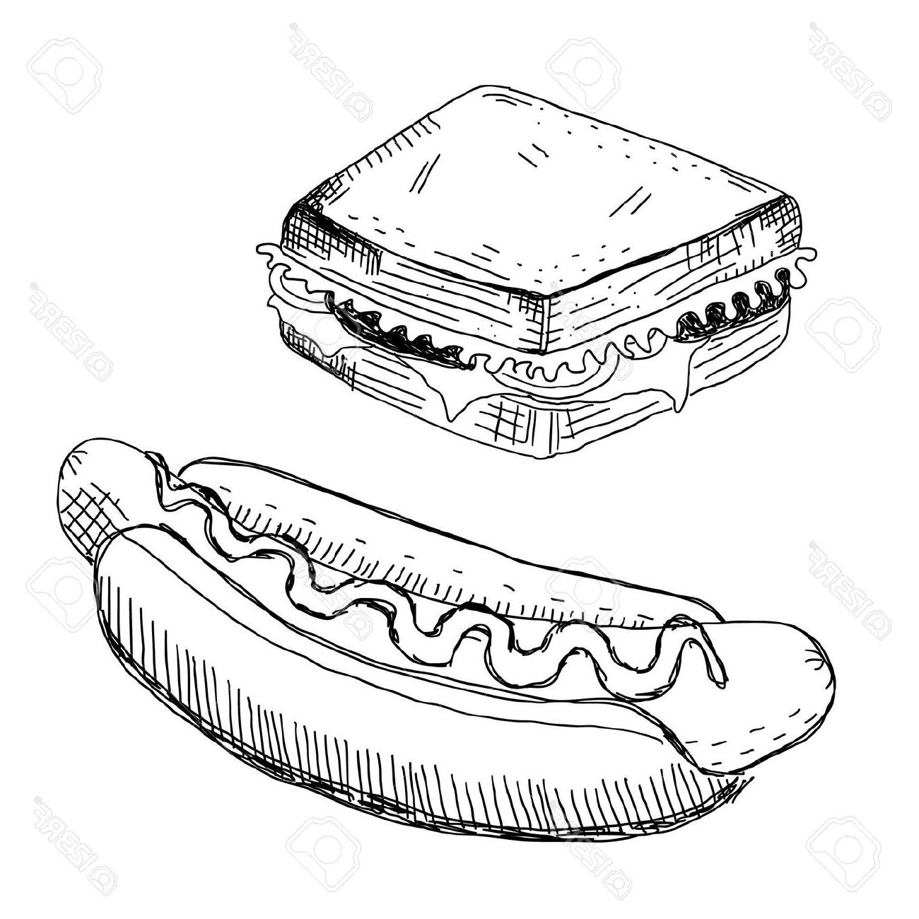 1300x1300 Best Sandwich And Hot Dog Stock Vector File Free