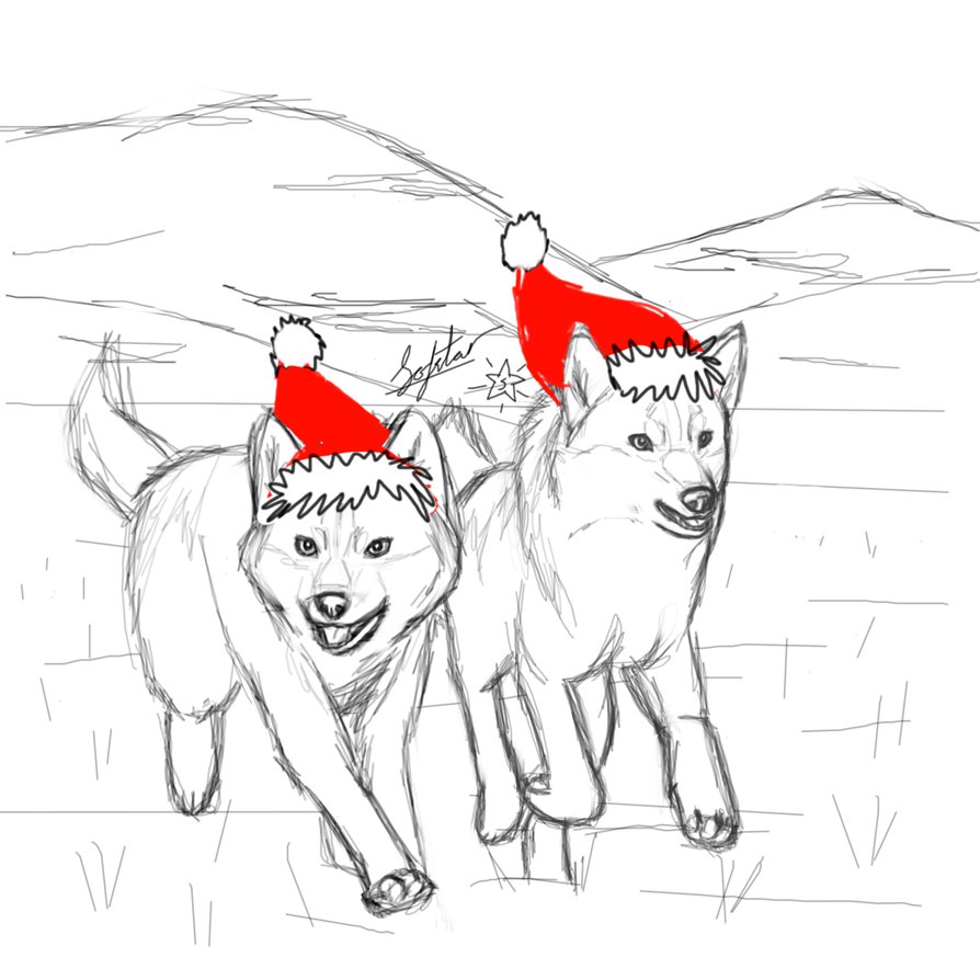 894x894 It's Christmas! (Wolf Sketch Wip + Santa Hats!) By Sofstar