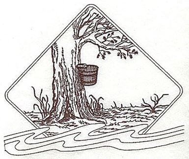 385x325 Maple Tree With Bucket For Maple Syrup Production Ready Artwork