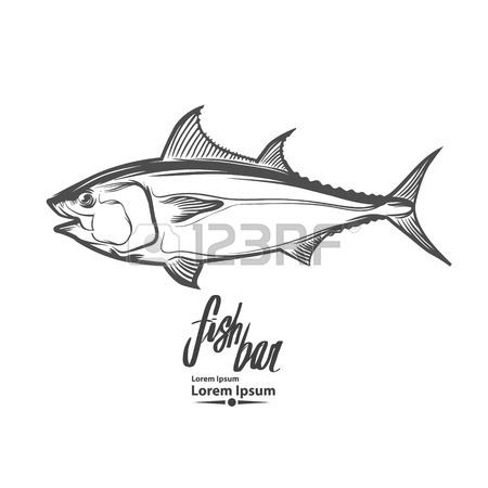Sardine Drawing