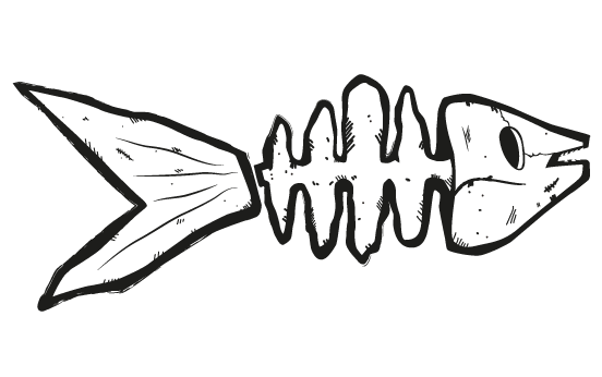 552x346 Sardines Volantes Association De Skate Et Bmx Un Site