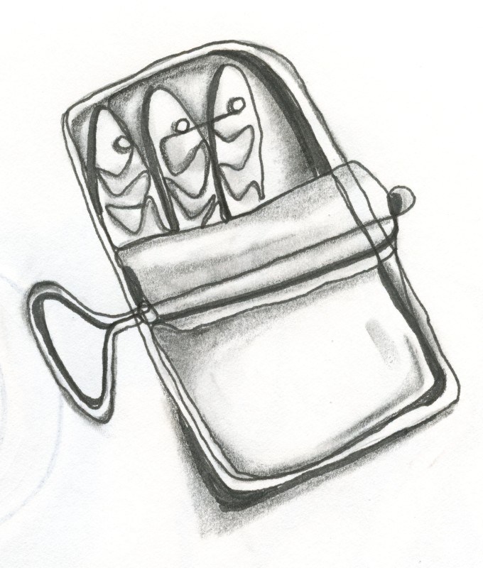 680x800 Stylized Sardines 10,000 Bad Drawings