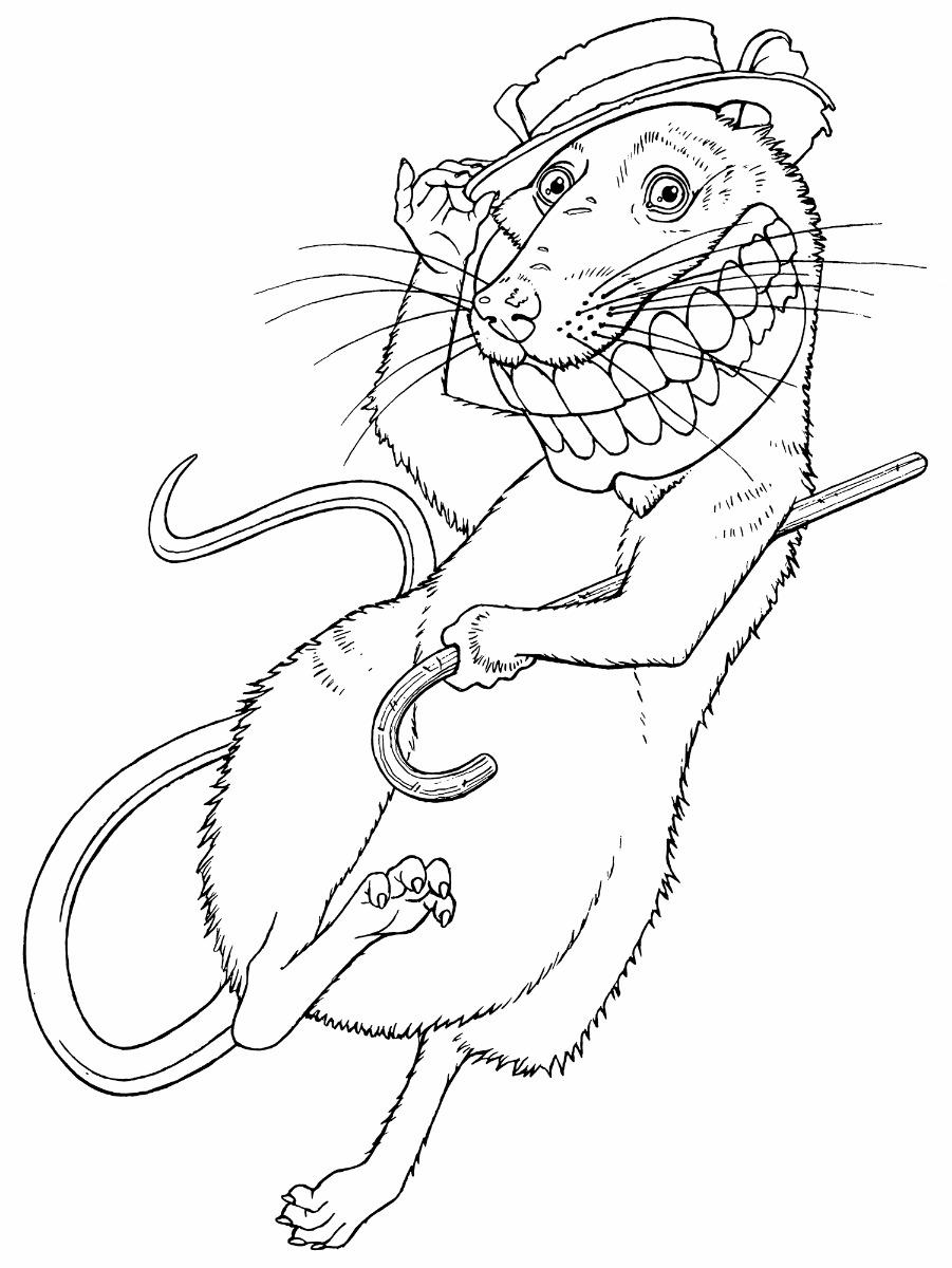 901x1200 168sardi 383.jpg