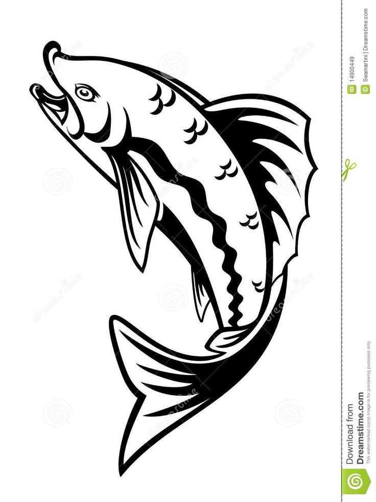 736x982 261 Best Fish Images On Fish, Pisces And Icons