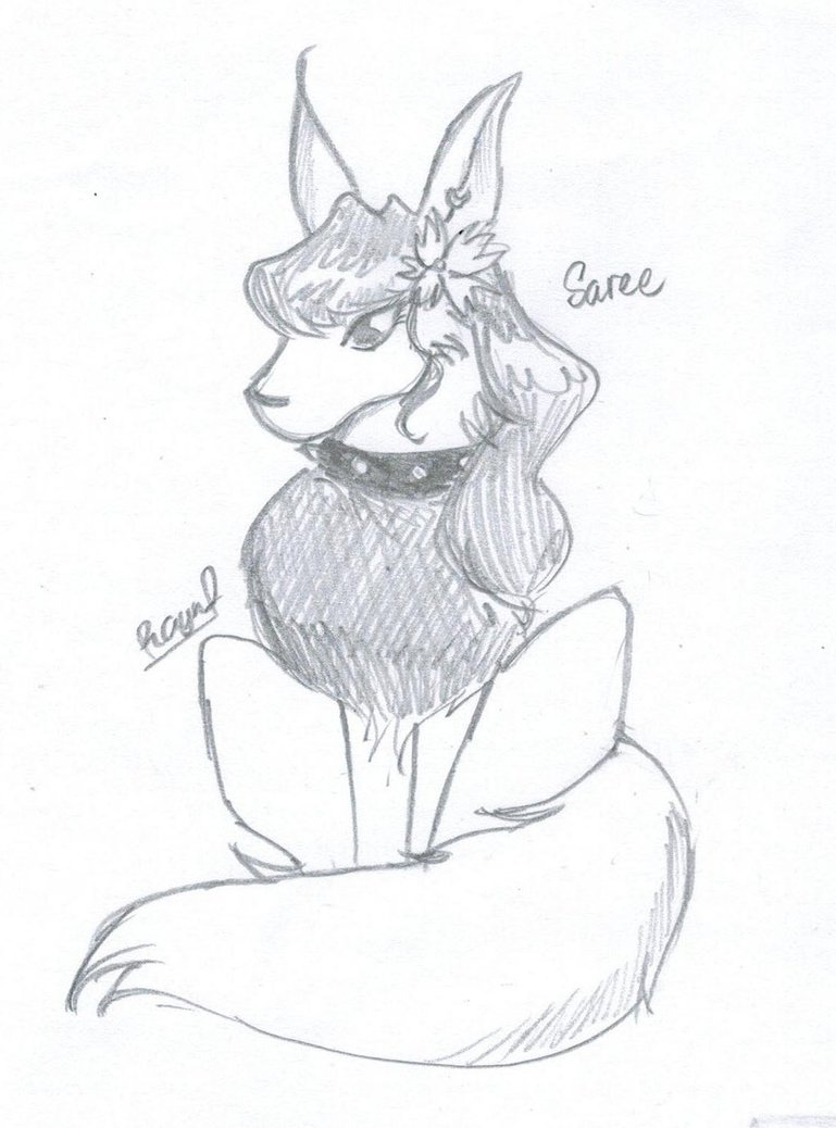 769x1038 Saree [Request] By Raynef