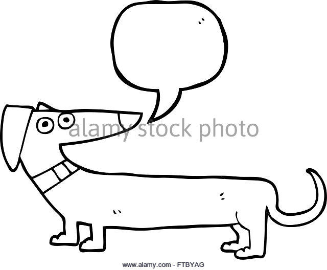 640x528 Funny Sausage Dog Black And White Stock Photos Amp Images