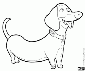 300x250 The Secret Life Of Pets Coloring Pages Printable Games