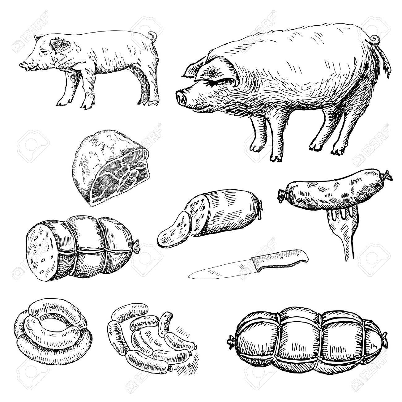 1300x1300 Sausage. Set Of Vector Sketches Royalty Free Cliparts, Vectors