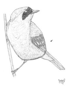 230x297 Understanding Creative Savants