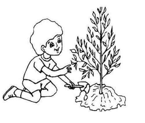 500x422 Save Water Coloring Pages