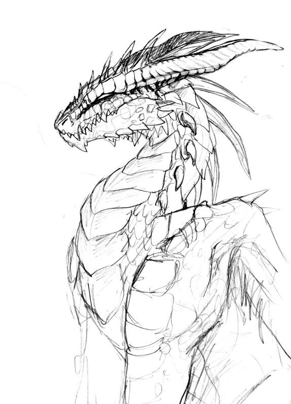 574x796 Dragon Sketches
