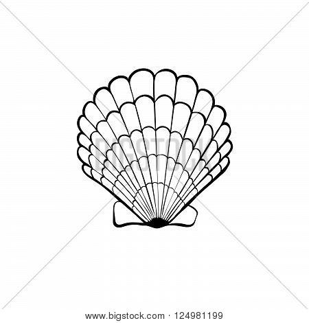 450x470 Hand Drawn Sea Shell. Scallop Vector Amp Photo Bigstock