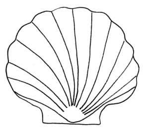 292x266 Best Photos Of Shellfish Cut Out Template