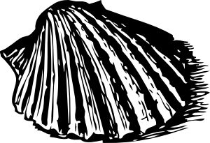 300x205 Scallop Shell Clip Art