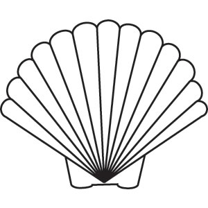 300x300 Scallop Shell Vector