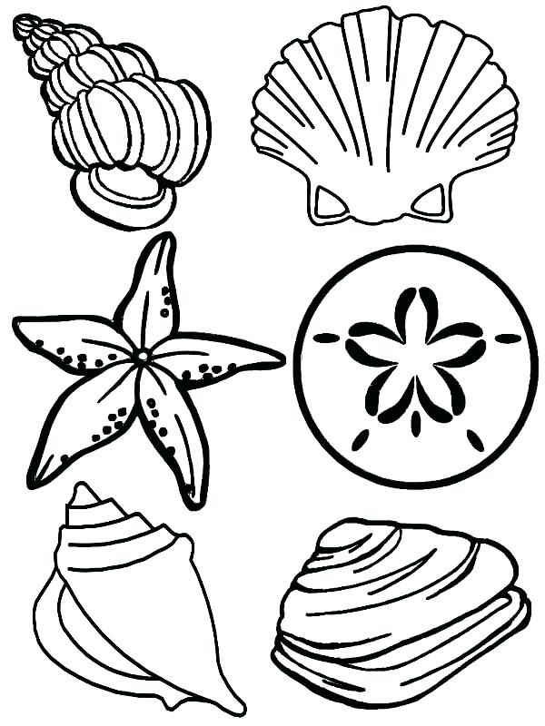 600x800 Seashell Pictures To Color Scallop Sea Shell Sketch Style Vector