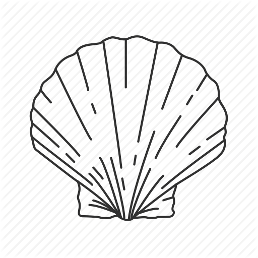 512x512 Clam, Mollusc, Scallop, Shell Icon Icon Search Engine