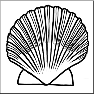 304x304 Clip Art Seashells Scallop Shell Bampw I Abcteach