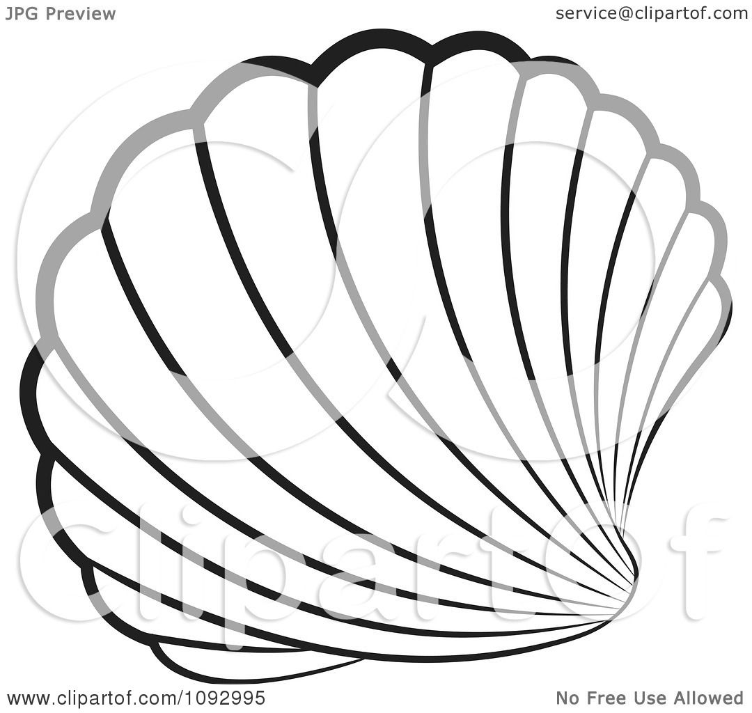 1080x1024 Clipart Black And White Scallop Sea Shell