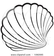 220x229 Image Result For Scallop Shells Illustrations Inspiration