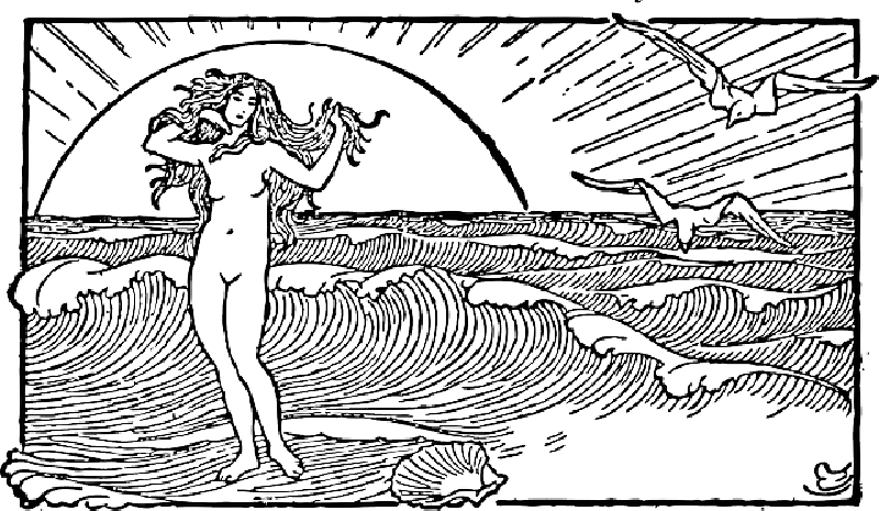 800x465 Outline, Woman, Sun, Half, Stand, Venus, Scallop, Shell