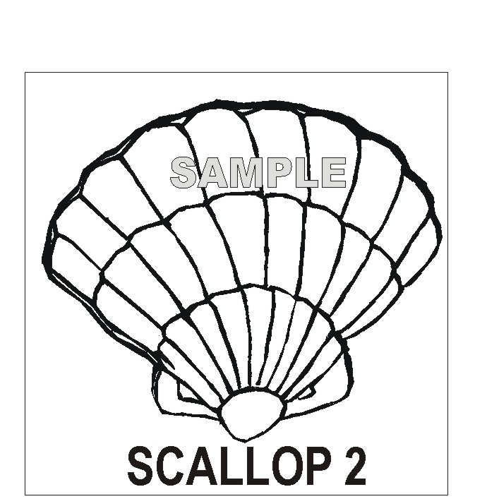 707x707 Scallop Shell Outline