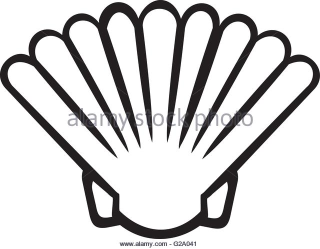 640x498 Scallop Underwater Stock Vector Images