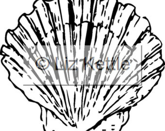 340x270 Scallop Shell Design Etsy