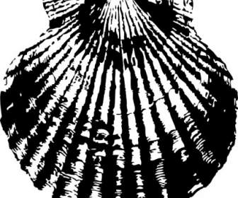 336x280 Venus And The Half Shell Clip Art Vector Clip Art Free Vector Free