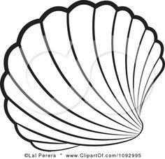 236x228 Sea Shell Stencil