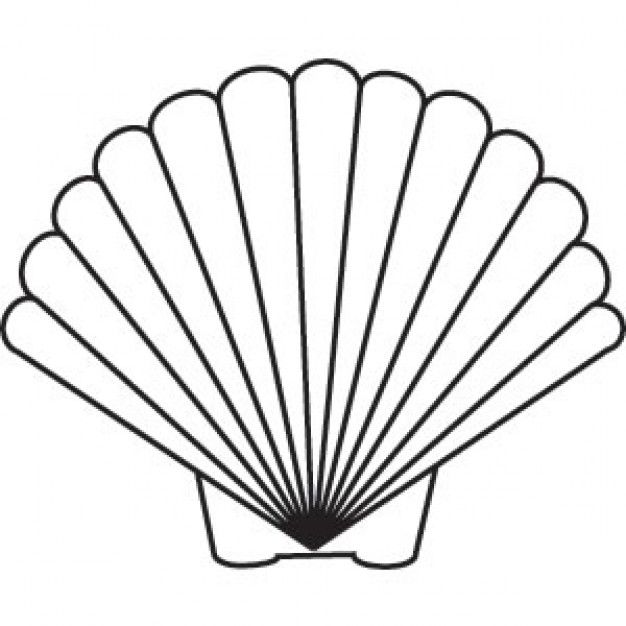 626x626 Seashell Drawing Scallop Shell Drawing Pictures Embroidery