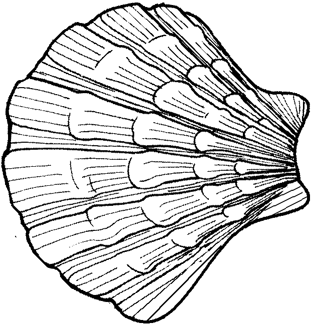 623x649 Shell Pilgrim's Journey