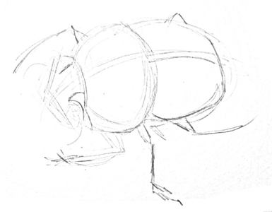 385x300 How To Draw A Scarab Beetle