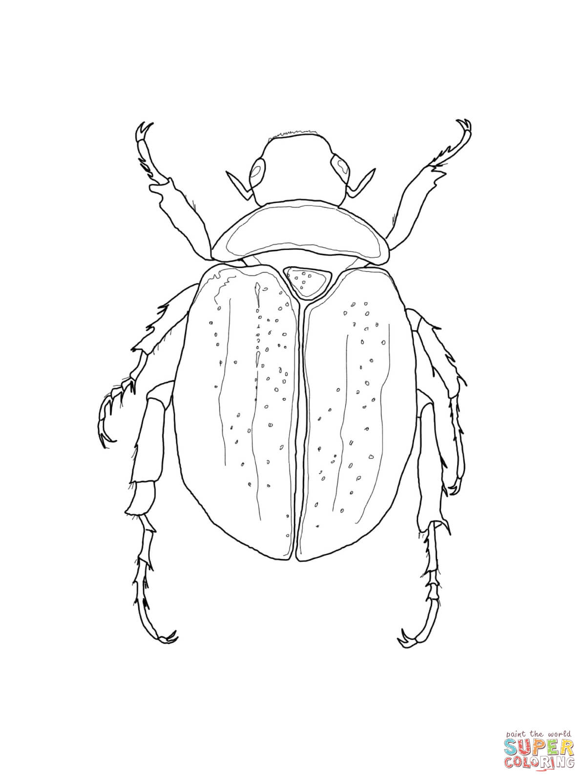 1200x1600 Scarab Beetle Coloring Page Free Printable Coloring Pages