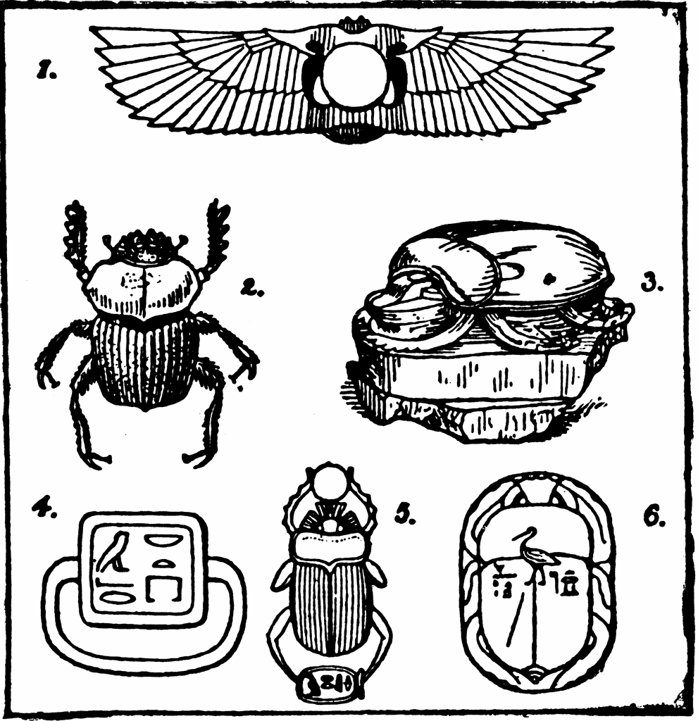 991x1024 Egyptian Scarabs Clipart Etc