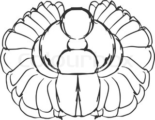 320x247 Scarab Beetle Stock Vector Colourbox