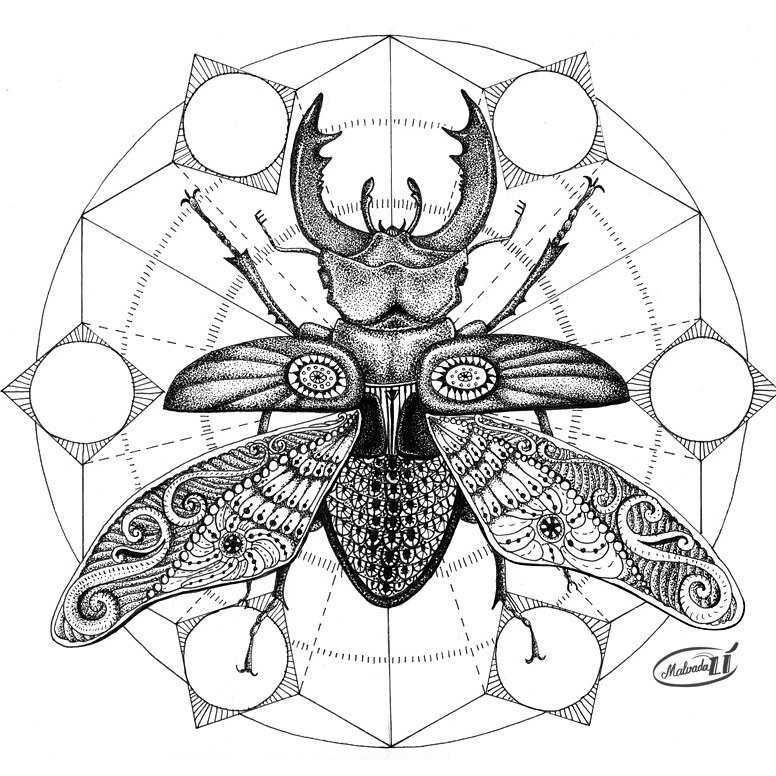 776x776 Scarab By Malvadali