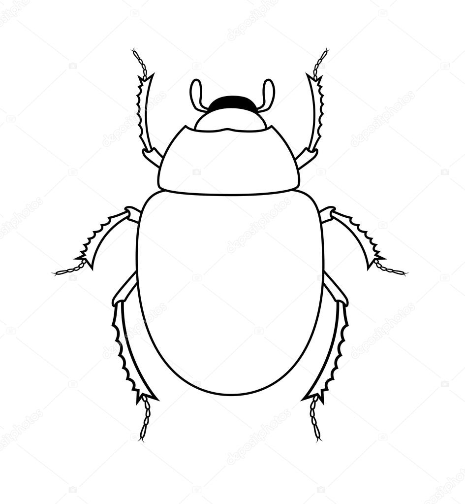 945x1023 Drawing Art Of Scarab Beetle Insect Stock Vector Baavli