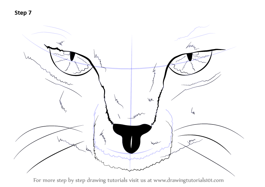 845x598 Gallery How To Draw Scary Eyes,