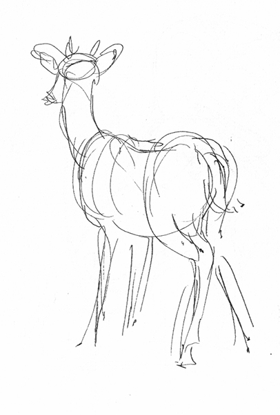 406x600 Tiffanny's Sketchbook Artist Death Grip + San Antonio Wildlife