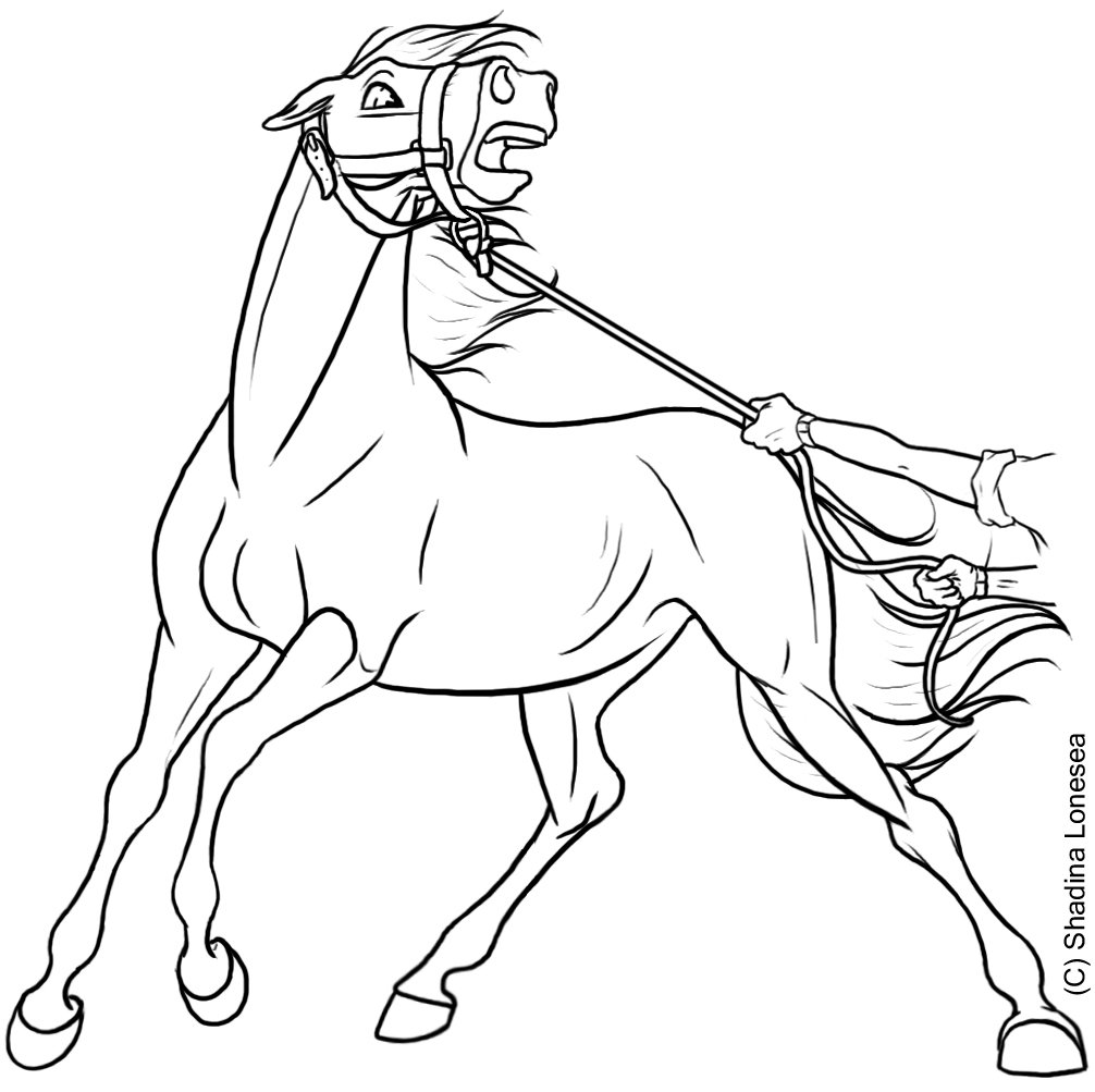 1006x1003 Spooked Horse