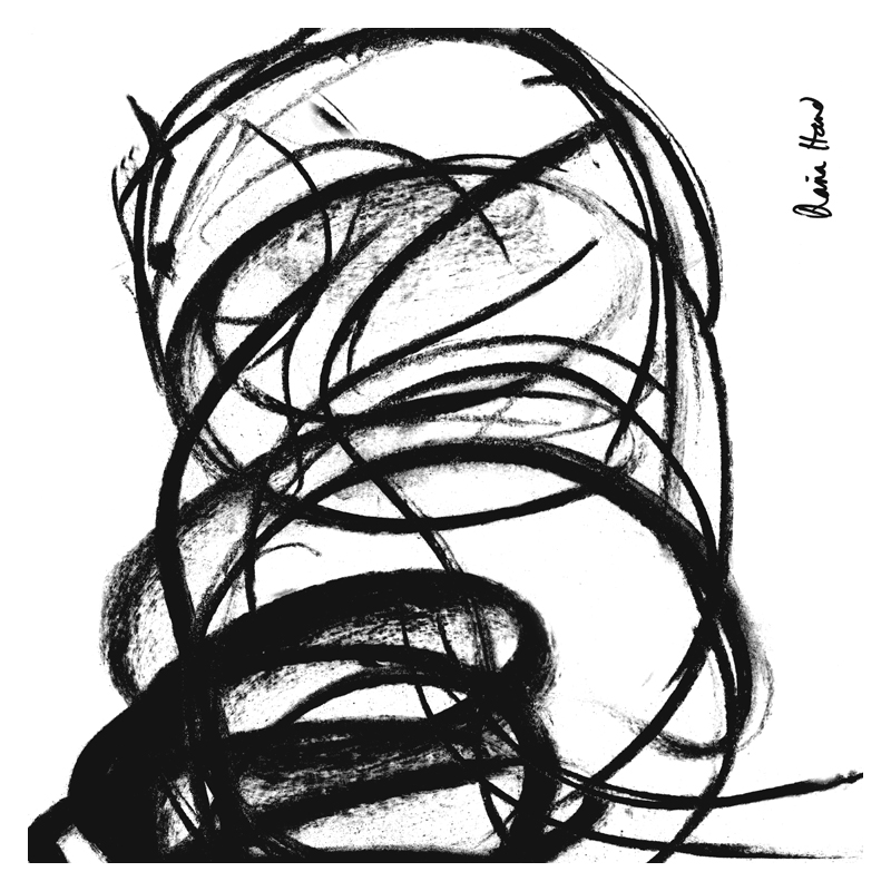 800x800 Equestrian Silk Scarves And Calendars With Diana Hand Designs