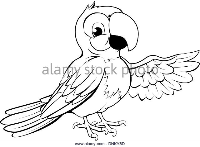640x472 Scarlet Macaw Black And White Stock Photos Amp Images