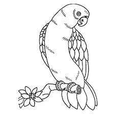 230x230 Top 10 Macaw Coloring Pages Your Toddler Will Love