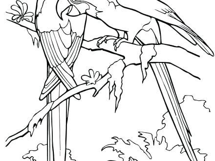 440x330 Flying Macaw Coloring Page Scarlet Macaws Free Printable Pages