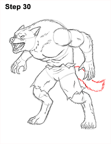 386x500 How To Draw A Werewolf