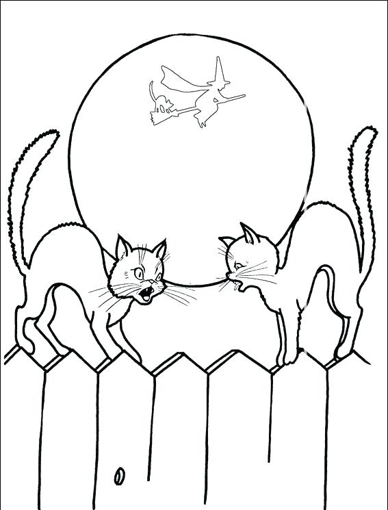 567x745 Halloween Coloring Pages Of Black Cats How To Draw A Black Cat
