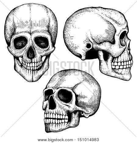 450x470 Hand Drawn Vector Death Scary Vector Amp Photo Bigstock