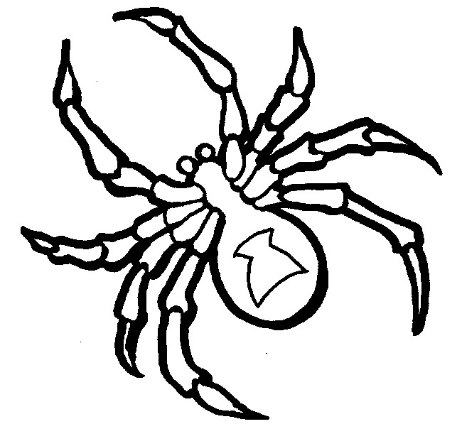 650x597 Spider Shape Template