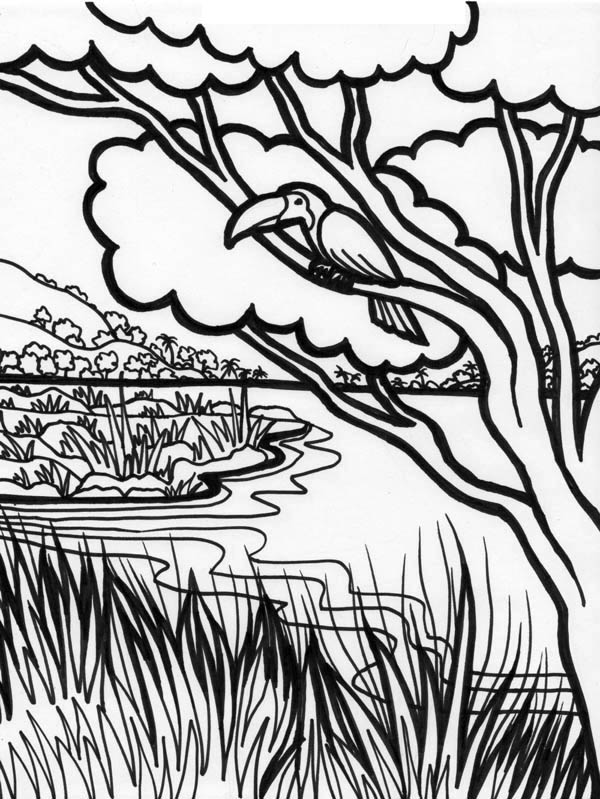 600x799 Forest River Coloring Page Coloring Sky